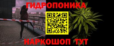 дурь Лесосибирск