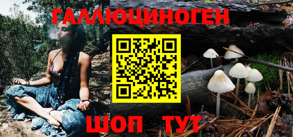 Галлюциногенные грибы Psilocybine cubensis Энгельс