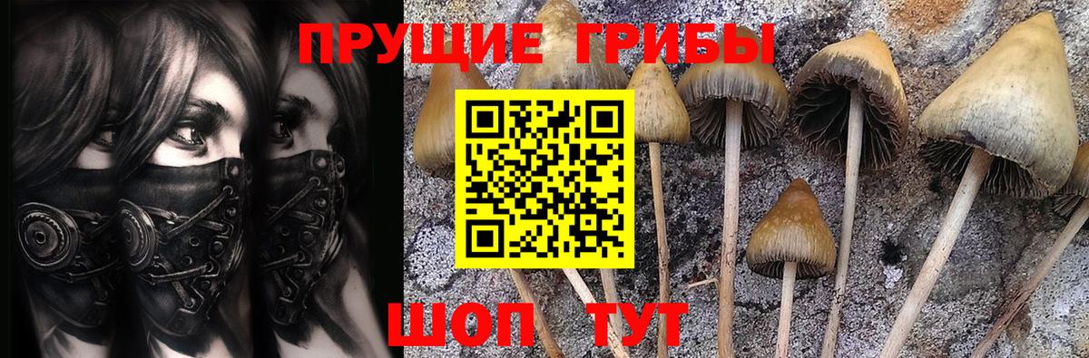 Энгельс  Псилоцибиновые грибы Magic Shrooms  Галлюциногенные грибы Magic Shrooms  Вход с VPN 